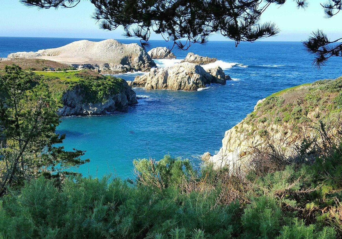 Point Lobos State Natural Reserve