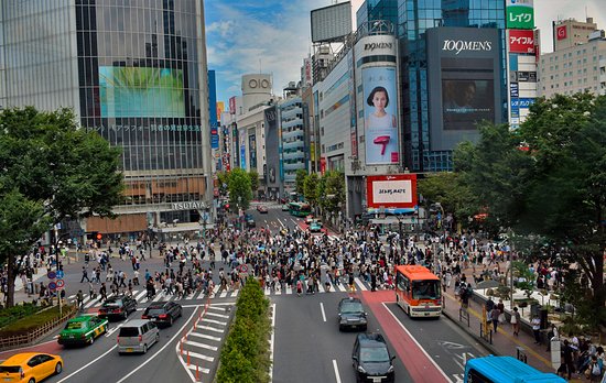 Experience the Shibuya Crossing