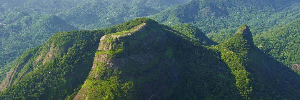 Explore the Tijuca Forest