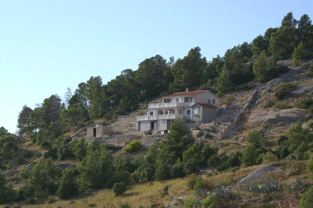 Vela Farska Beach