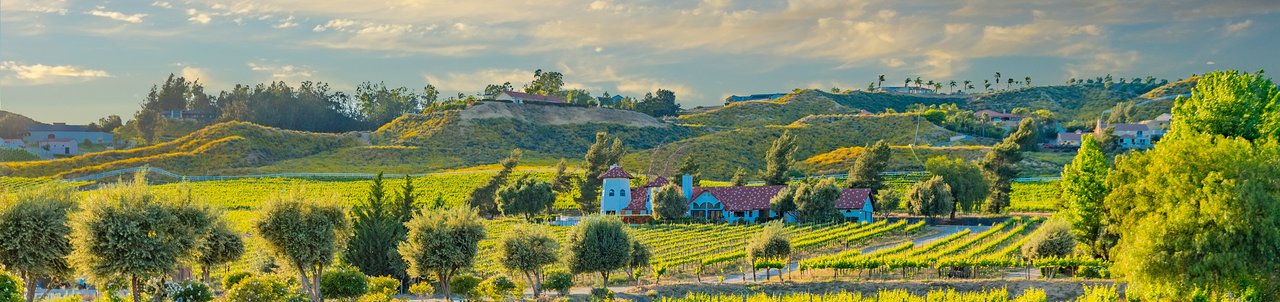 Go Wine Tasting in the Temecula Valley