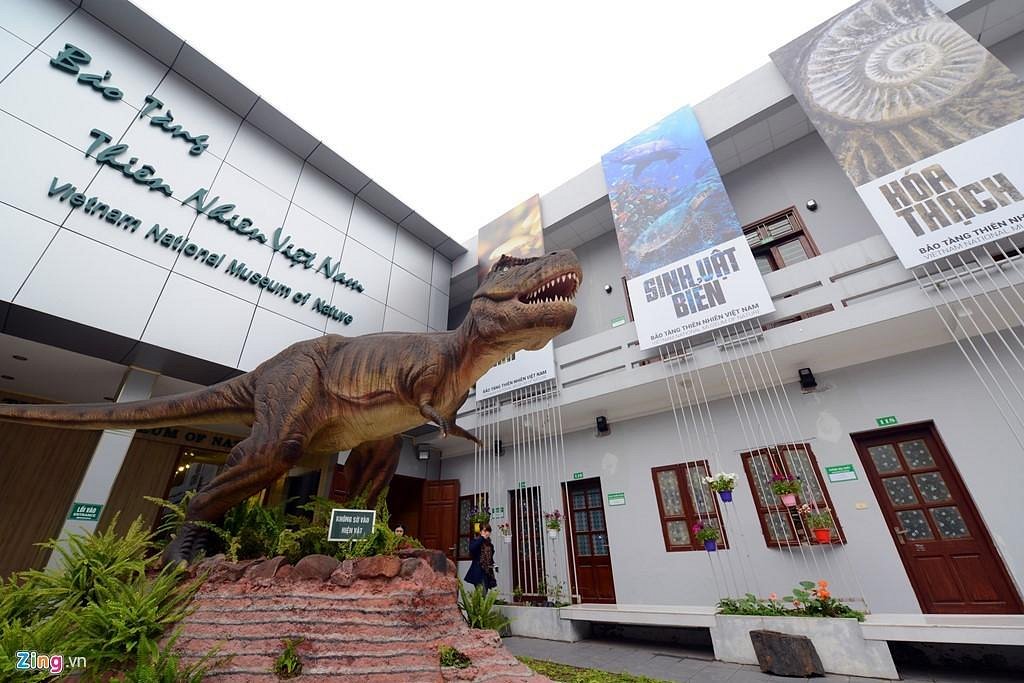 Vietnam Museum of Nature