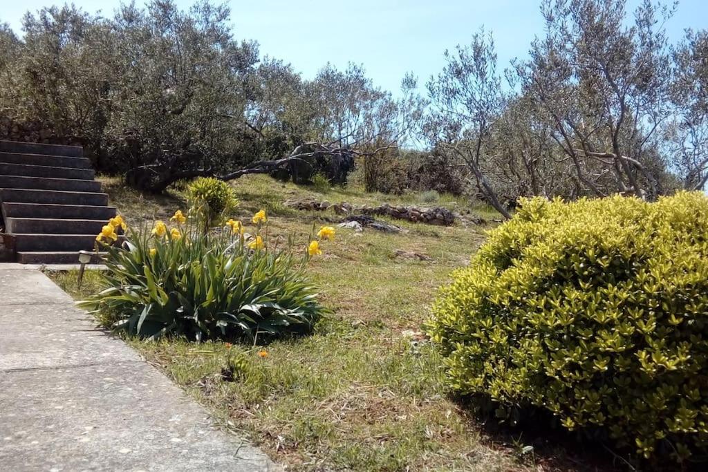 Holiday Home Rava
