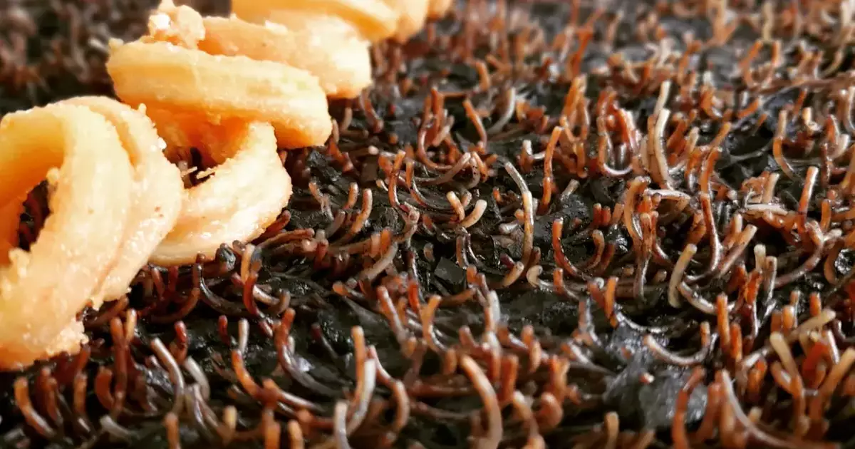 Receta de Arrossejat con lubina