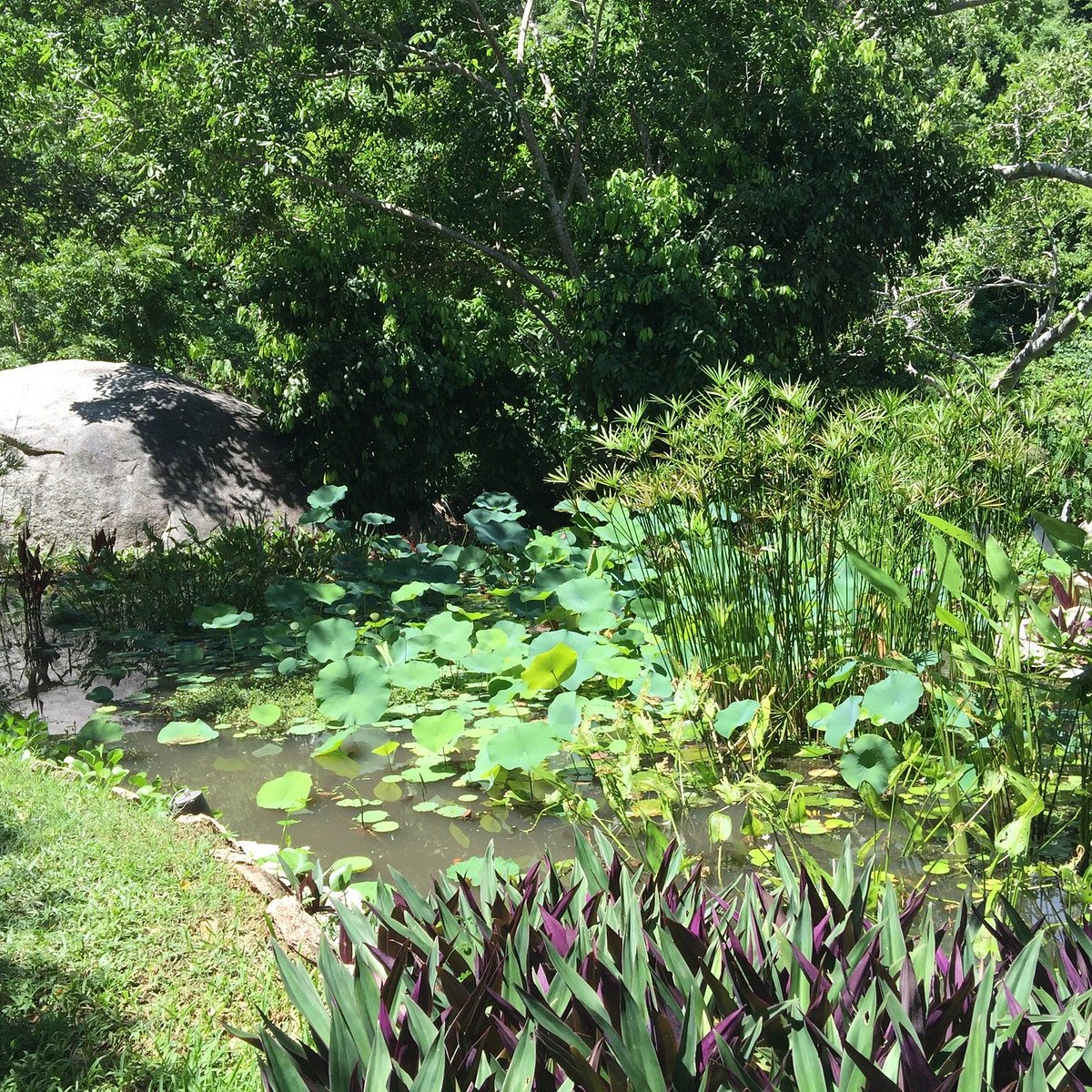 Acapulco Botanical Garden