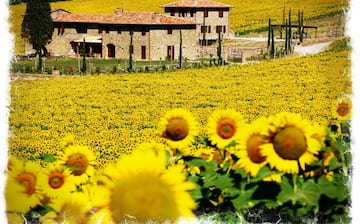 Apartamento con jardín en el centro de Seúl