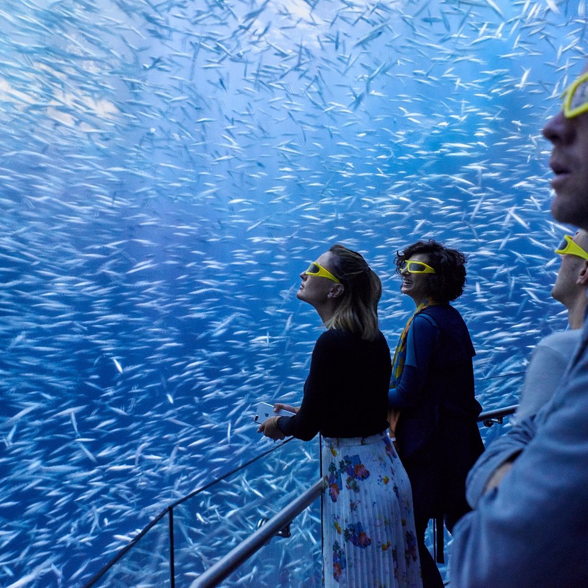 National Geographic Encounter: Ocean Odyssey