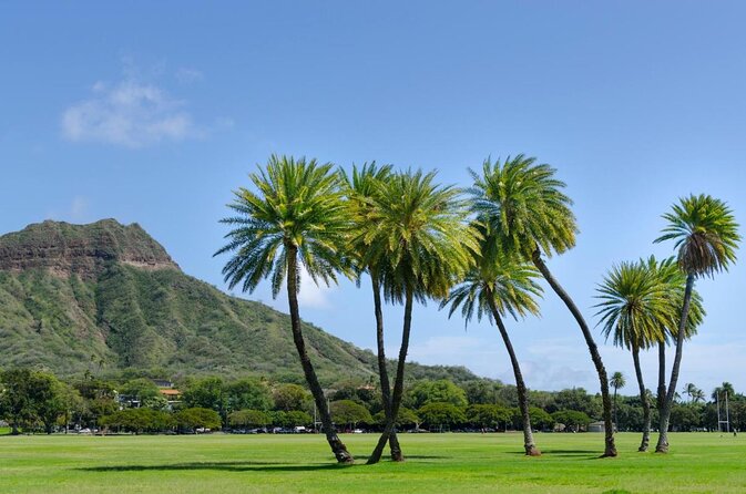 Excursión al Parque Kapiolani