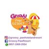 Groovy Paws Resort