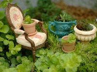 Fairy Garden