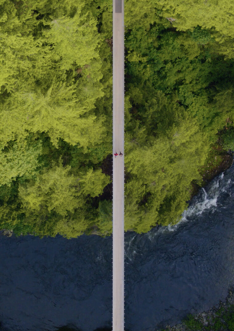 Family Pass to Capilano Suspension Bridge Park