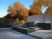 Modern Minimalist Garden