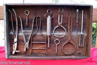 Garden Tool Shadow Box