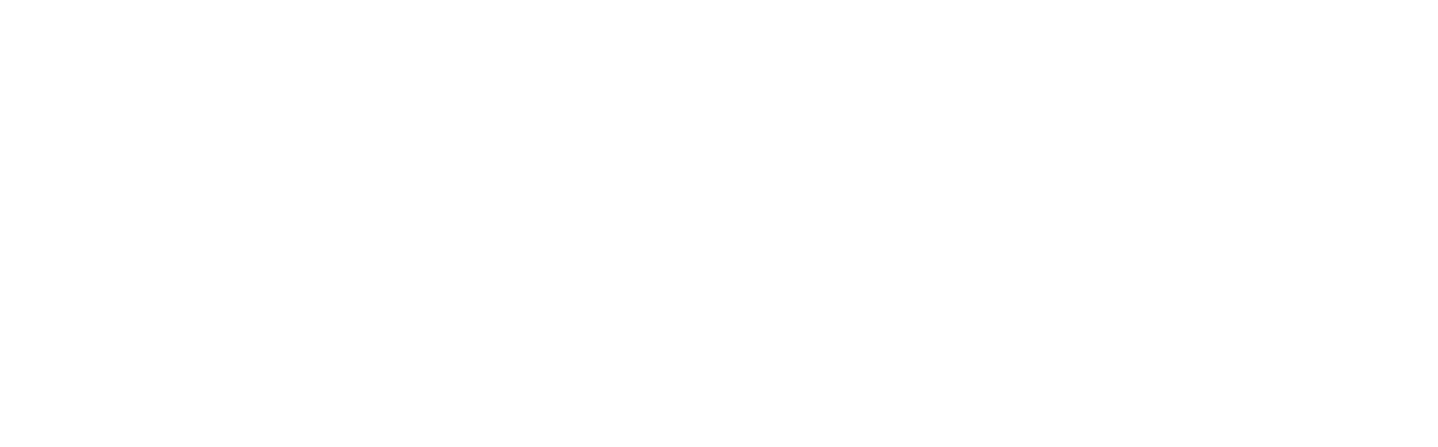 Disney's Sequoia Lodge