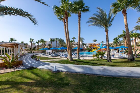 Naama Bay