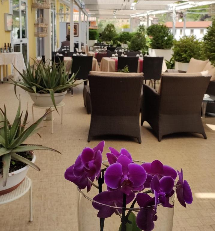 Resort Belvedere