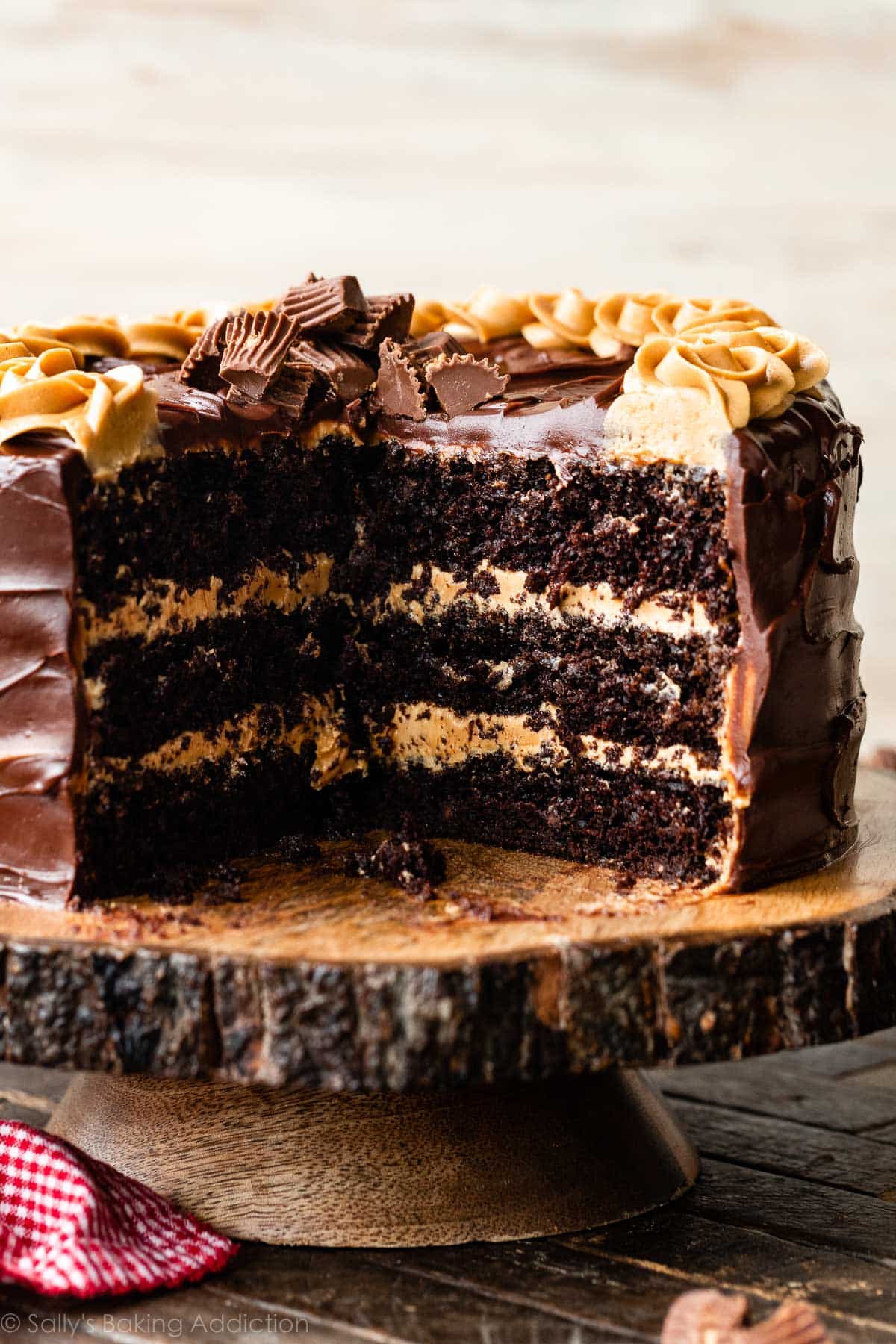 Peanut Butter Chocolate Cake Recipe from Sally's Baking Addiction