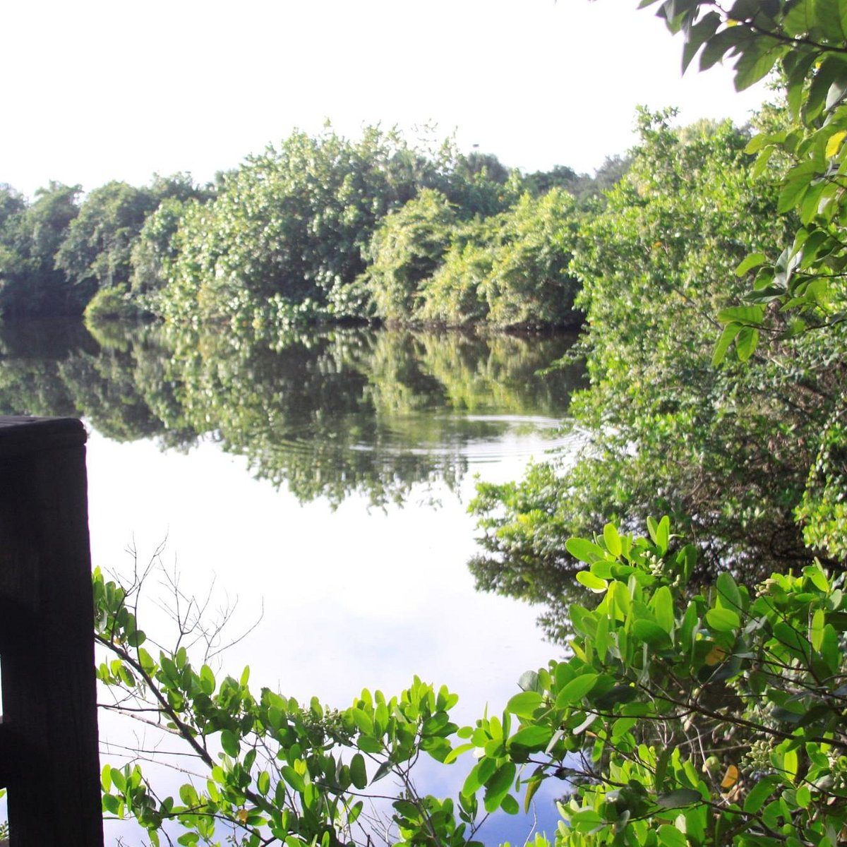 Frenchman's Forest Natural Area