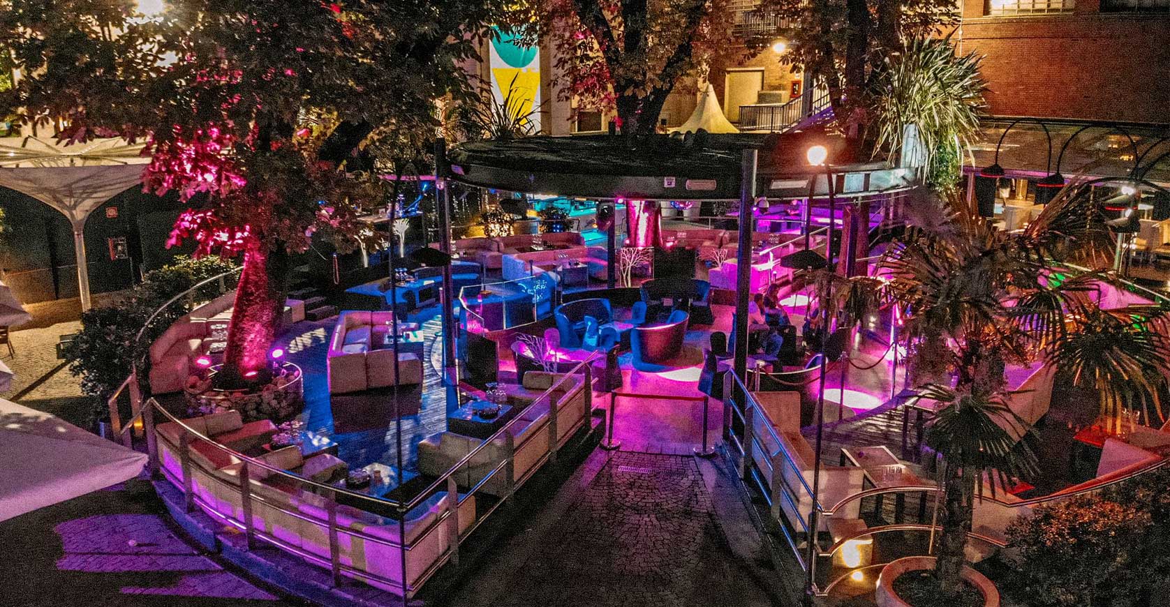 Disfruta de la vida nocturna