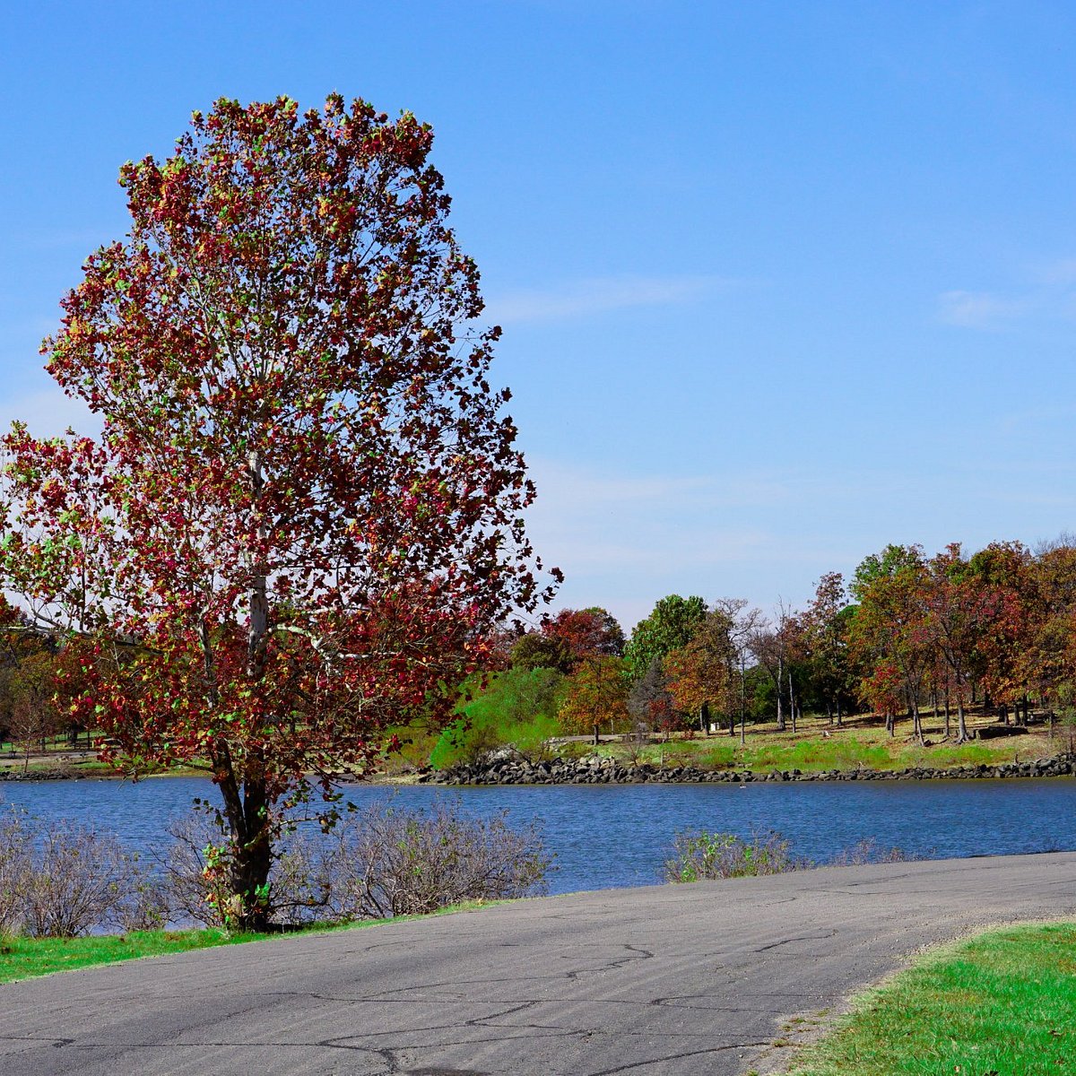 Go on a Scenic Drive