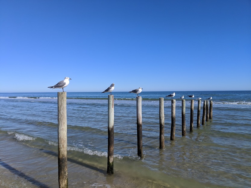 Packery Channel Jetties