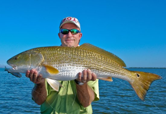Go Fishing in the Indian River Lagoon