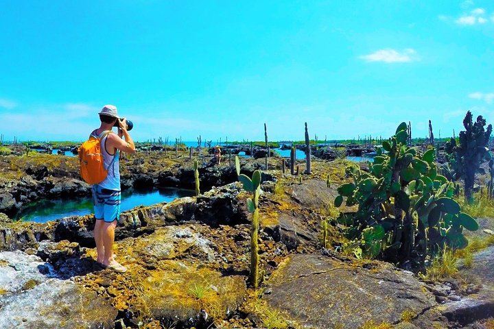 Day 6: Island Hopping Tour