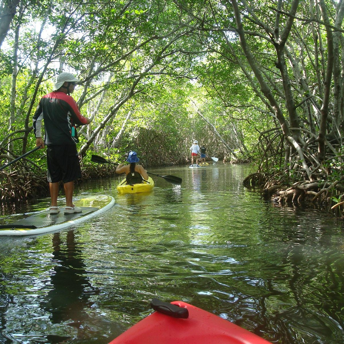 Enjoy Water Sports