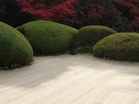 Contemporary Zen Garden