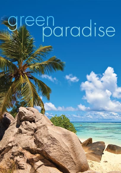Beach Paradise: Best Beaches in the Dominican Republic