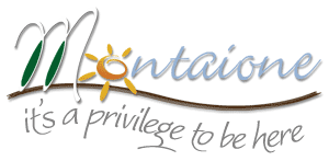 Floriano Wellness Sanctuary