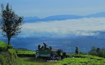 Bandung