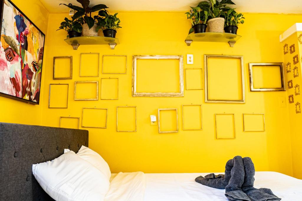Sunflower Suites