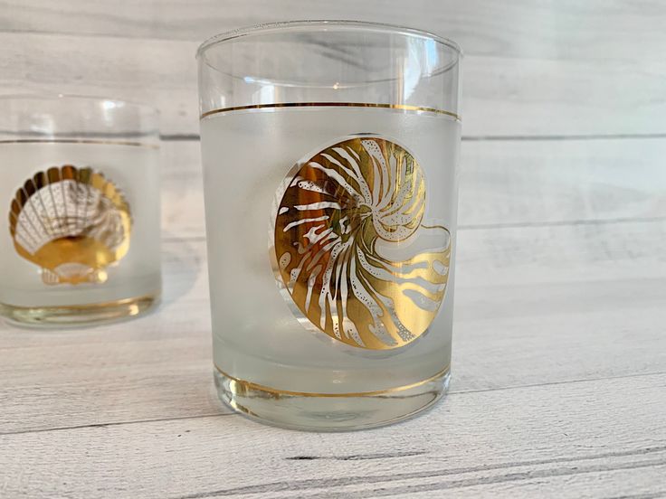 Seashell Spectacle